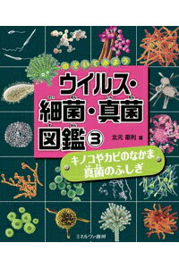 楽天ブックス キノコやカビのなかま 真菌のふしぎ 北元憲利 本 楽天ブックス キノコやカビのなかま 真菌のふしぎ 北元憲利 本